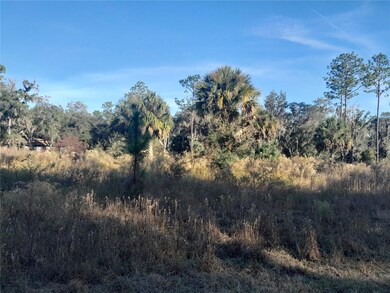tbd SE 110th Ave, Inglis, FL 34449 - photo 2