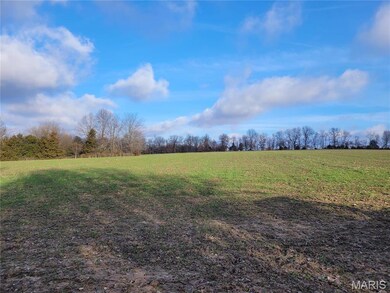 0 Bales Rd (81 8+ - Acres), Middletown, MO 63359 - photo 5