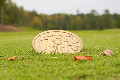 225 Azalea View Way unit Lot 1733, Apex, NC 27539 - photo 3