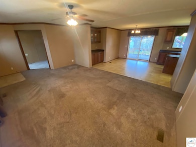 10557 Cottage Rd, Clinton, MO 64735 - photo 2