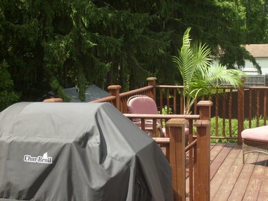 Deck View