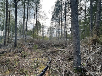 31 E Hemlock Ct, Union, WA 98592 - photo 2