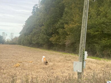 0 Crew Lake Rd unit 1.0+-acres C 215778, Start, LA 71269 - photo 7