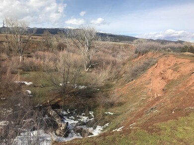 SEASONAL CREEK BACK OF LOT