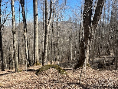 00 Beech Thicket Springs Rd unit 41, Bakersville, NC 28705 - photo 5