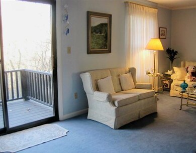 Living Room. Deck overlooking gorgeous wooded view