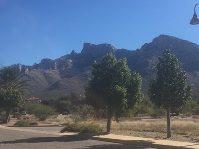 Lot 7 Mercado Del Rio unit 7, Tucson, AZ 85737 - photo 4