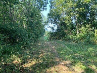 0 Sandridge Rd, Sawyer, MI 49125 - photo 6