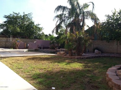 back yard2