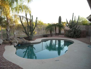 Backyard and pool