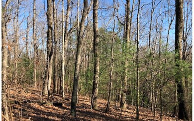 0 Abbott Top Rd unit 284034, Ellijay, GA 30540 - photo 3