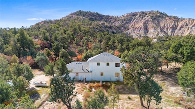 53 State Highway 595, Lindrith, NM 87029 - photo 7