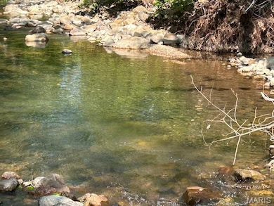 2664 M St, Ironton, MO 63650 - photo 2