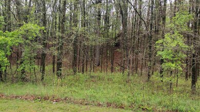 00 N Royal St, Jackson, TN 38301 - photo 4