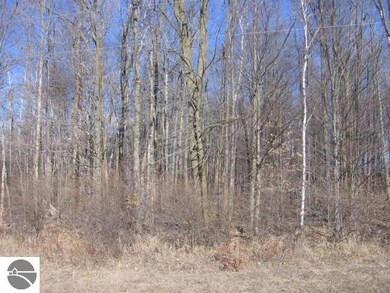 5 N Morrison Rd unit 1796683, West Branch, MI 48661 - photo 4