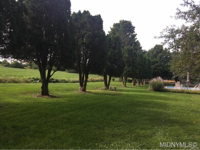 Peaceful backyard view