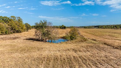 210027637 30 Acres-14