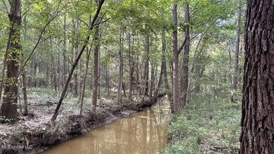 478 Andrew Chapel Rd, Brandon, MS 39042 - photo 4