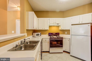 4408 Helmsford Ln unit 304, Fairfax, VA 22033 - photo 2