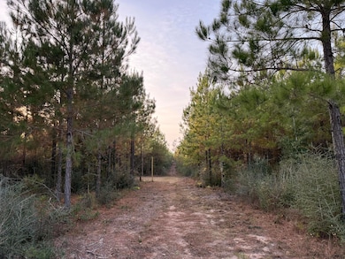 23318 NW Church Rd, Other, FL 00N/A - photo 6