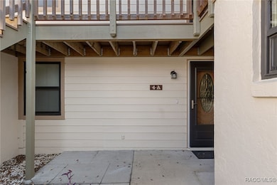 115 E Hartford St unit 4A, Hernando, FL 34442 - photo 4