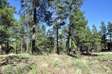 Lot 65