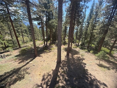 577 Fallen Leaf Way, Incline Village, NV 89451 - photo 7