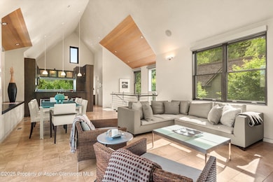 939 E Cooper Ave unit B, Aspen, CO 81611 - photo 5