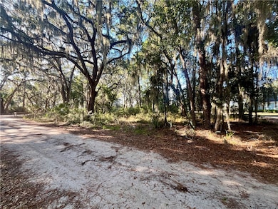 Lot 163 Julienton Dr NE, Townsend, GA 31331 - photo 4