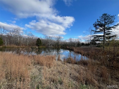 3146 Ripley 142e-28, Fairdealing, MO 63939 - photo 7