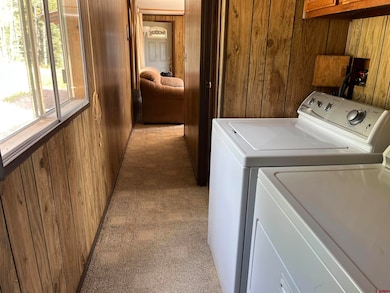 320 Forest Service 770 Rd, Pitkin, CO 81241 - photo 7