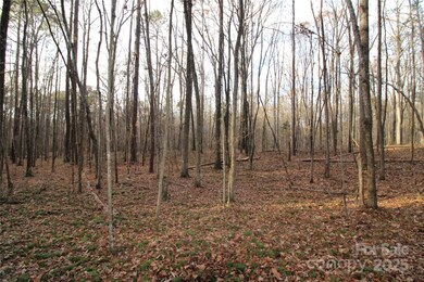 14.5+/-AC Pioneer Rd, York, SC 29745 - photo 6