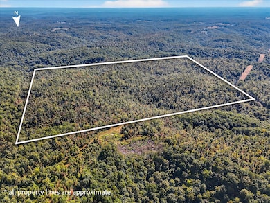 000 Cr D-325, Eminence, MO 65466 - photo 5