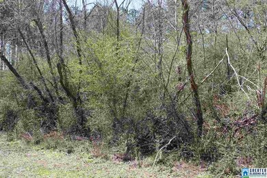 00 Clarendon Rd unit lot 61, Cullman, AL 35057 - photo 3