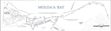 0 Moloaa Rd unit 663343, Anahola, HI 96703 - photo 7