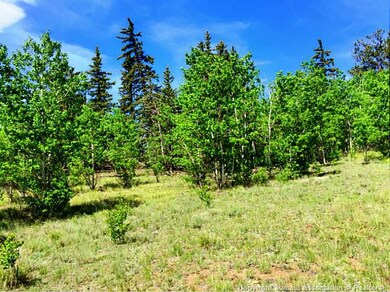 Land/Lot.
