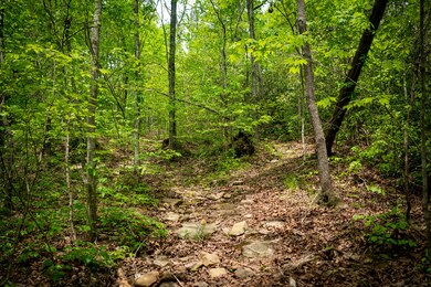_DSC3796