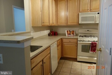 13101 Marcey Creek Rd unit 13101, Herndon, VA 20171 - photo 7