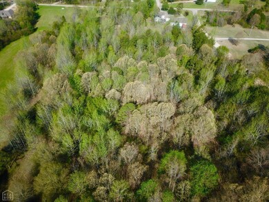 0 Greene Road 648, Paragould, AR 72450 - photo 5