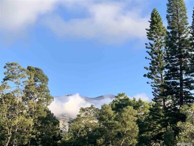 0 Ainakula Rd unit Lot 1, Land Court 3, Kula, HI 96790 - photo 4