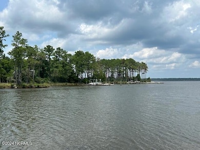 1039 Pasture Point Rd, Merritt, NC 28556 - photo 3