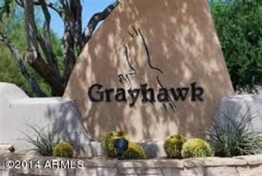 Grayhawk