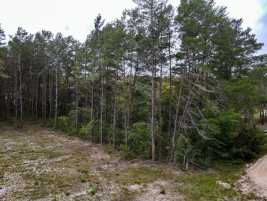 0 Sea Eagle Dr, Perry, FL 32348 - photo 7