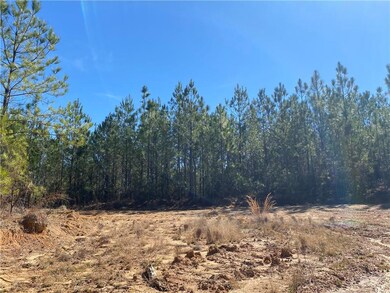Longleaf Plantation