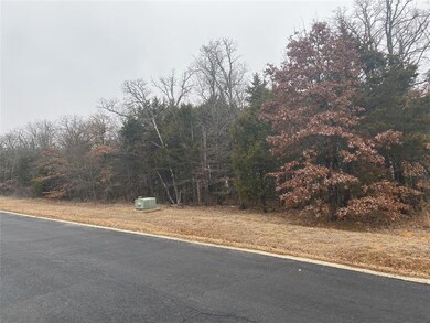 106A Stonewolf Ct, Gordonville, TX 76245 - photo 4