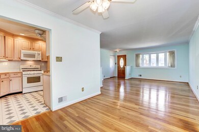 10213 Conover Dr, Silver Spring, MD 20902 - photo 5