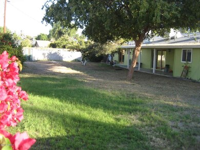 BACKYARD 2