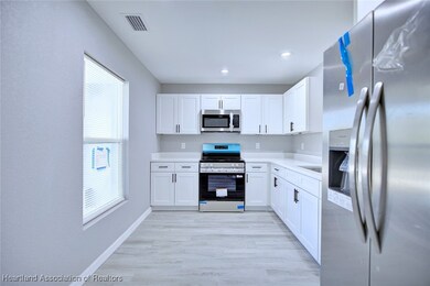 295 Lincoln Rd NE, Lake Placid, FL 33852 - photo 4