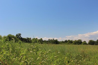Fields