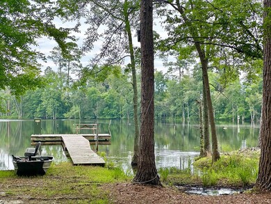 2560 Ga Highway 32 W, Douglas, GA 31533 - photo 6